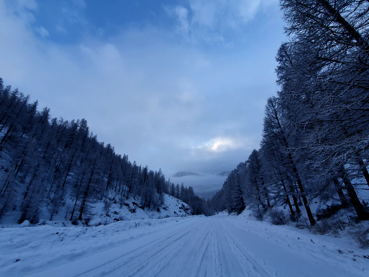 Météo Alpes du Sud : le plein de neige pour la Saint Valentin ? (Mise à Jour)