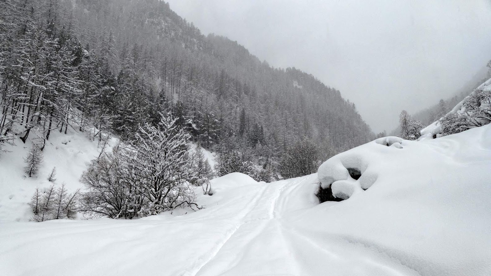 Météo Alpes : le retour de la neige dès 1300 mètres pour les prochains jours ?