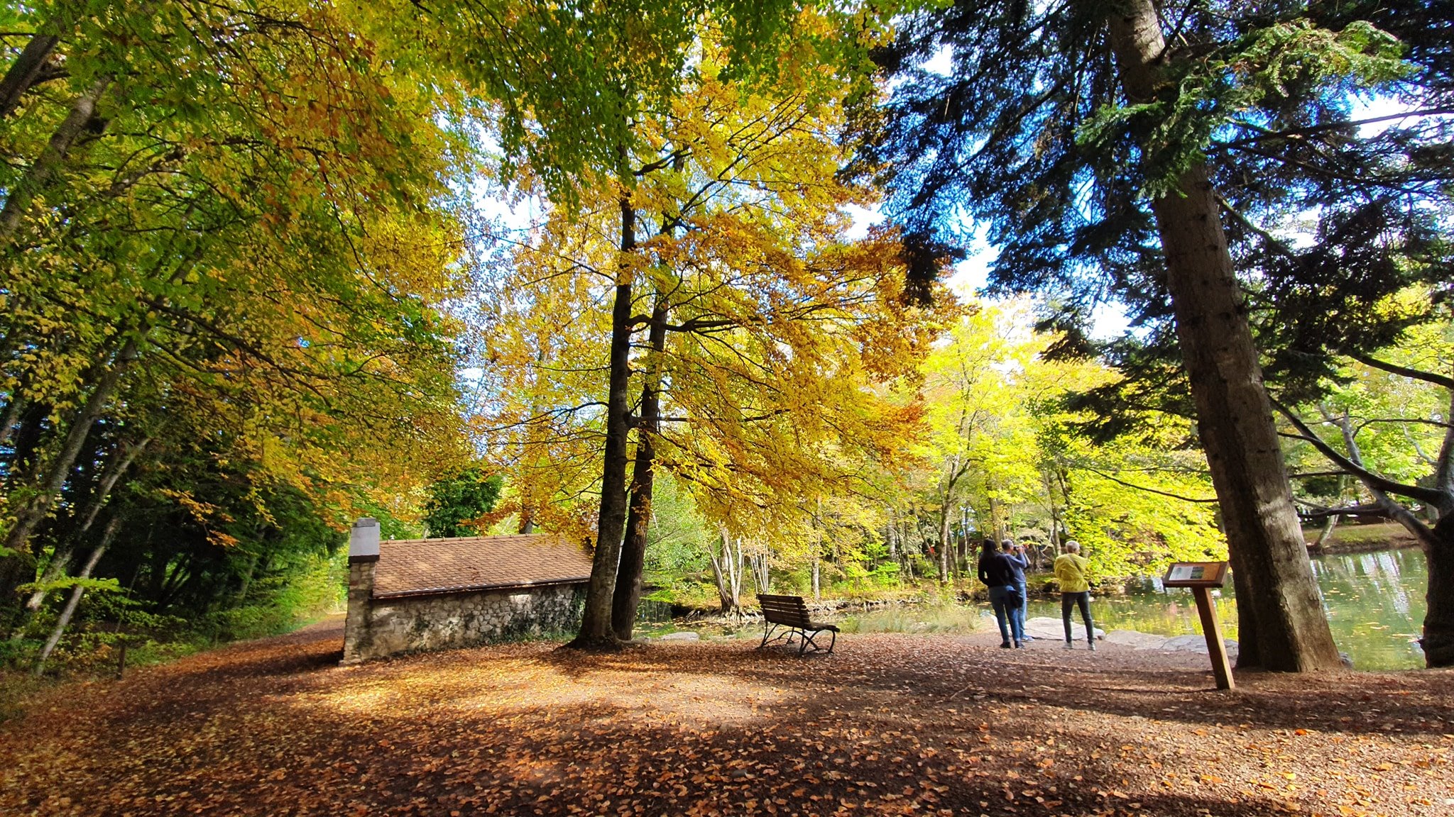 Gapençais : ma balade enchantée au Domaine de Charance en automne (et 3 rencontres surprenantes)