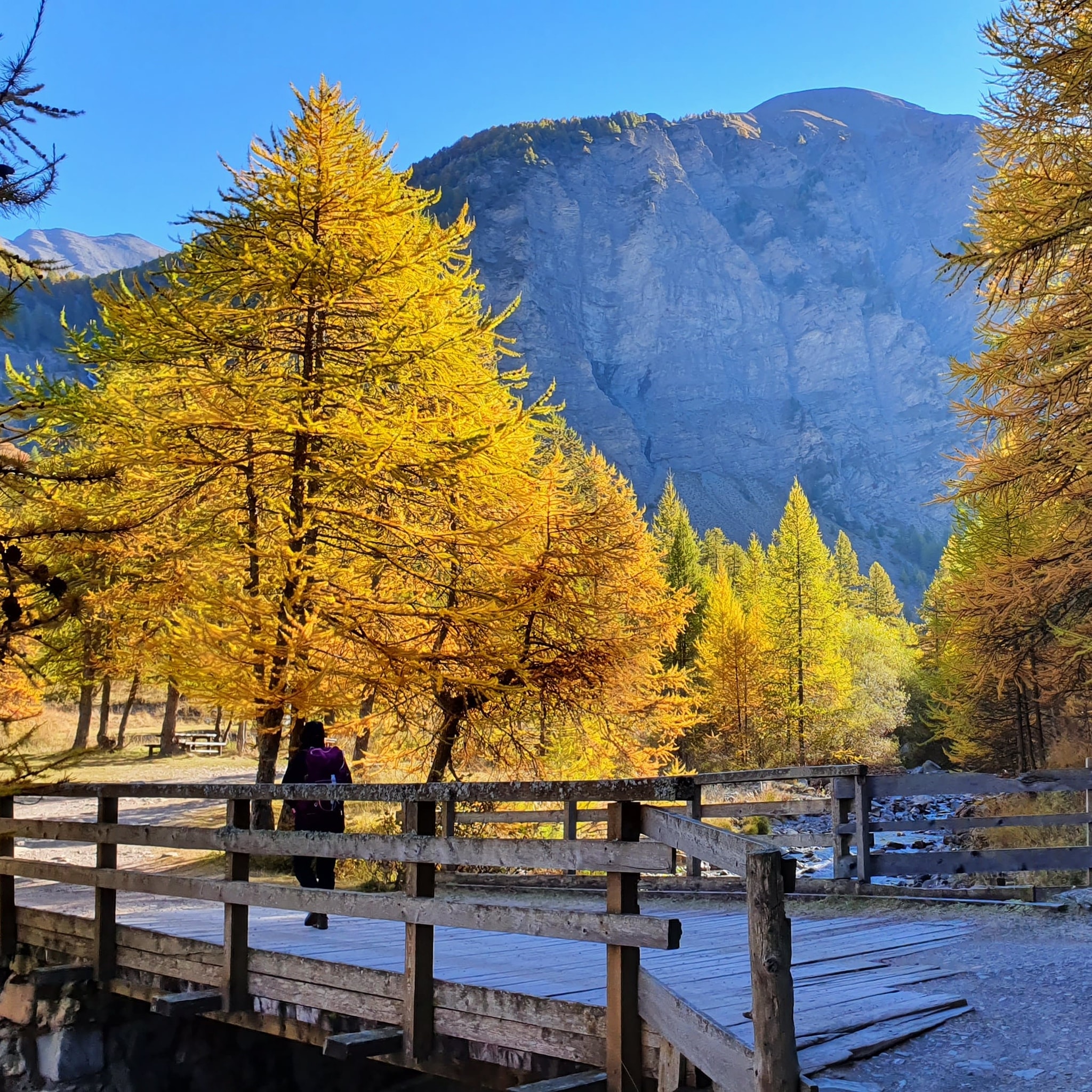 Météo Alpes du Sud : pourquoi notre automne 2023 est exceptionnellement pluvieux ?