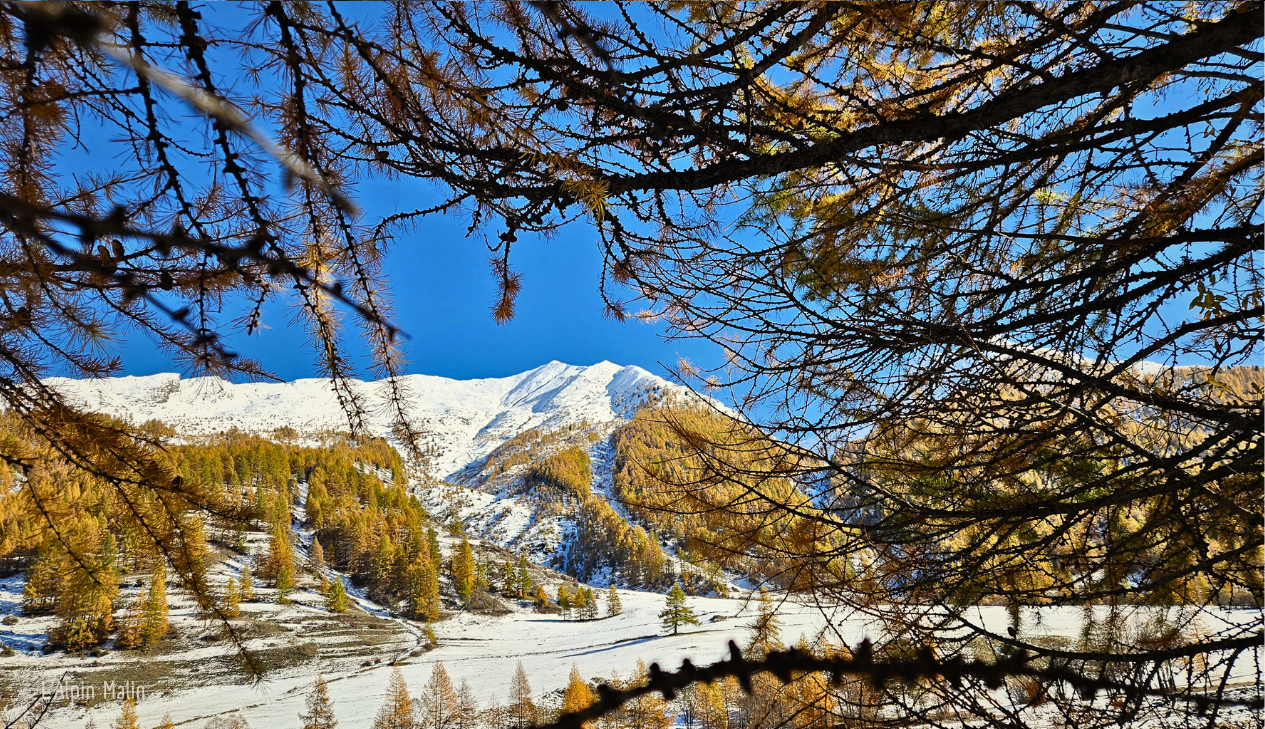 Météo Alpes du Sud : vers un enneigement exceptionnel pour décembre ?