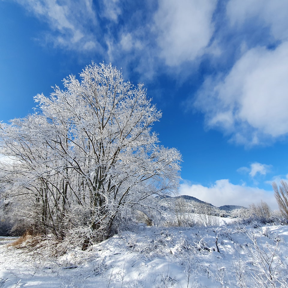 Retour de la neige dans les Alpes ce 12 novembre : saupoudrage ou surprises, à quoi s’attendre ?