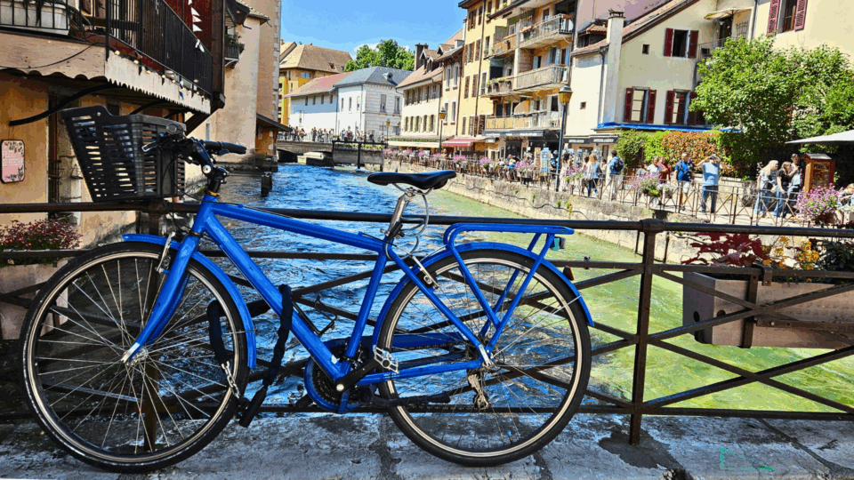 Année record : l&rsquo;Alpin Malin franchit les 4 millions de vues en 2025, tous supports confondus